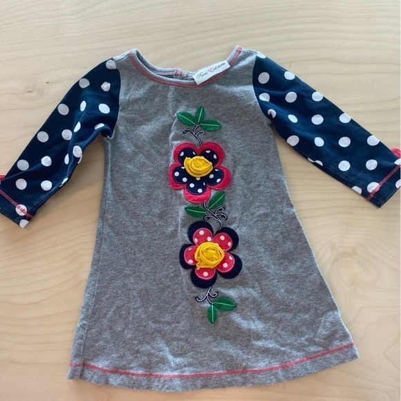 Rare Editions Long Sleeve Dress size 2T (FM) - Picture 1 of 8